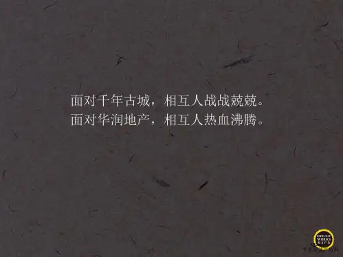 华润苏州归去来别墅全程营销推广方案(104P)105页PPT