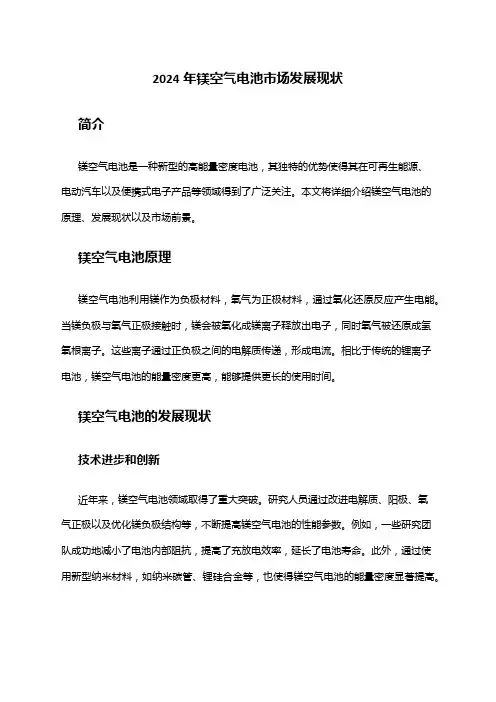 2024年镁空气电池市场发展现状