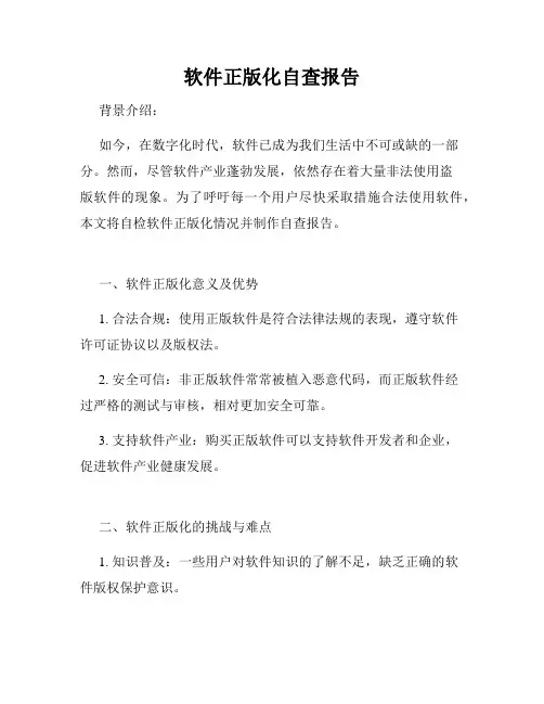 软件正版化自查报告