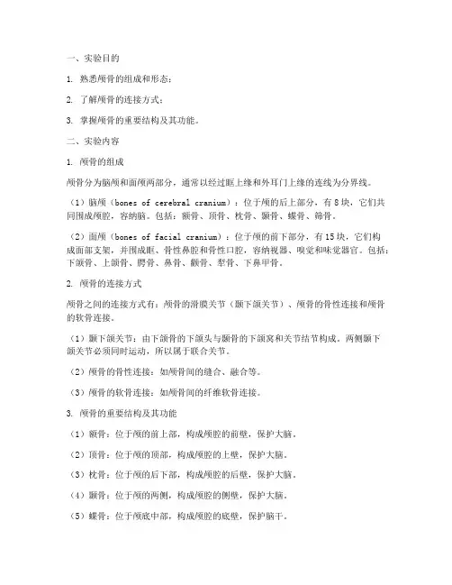 颅骨系统解剖实验报告