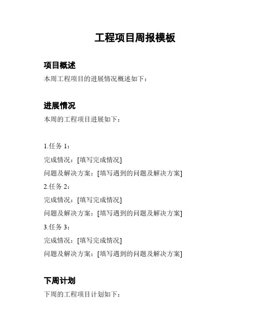 工程项目周报模板