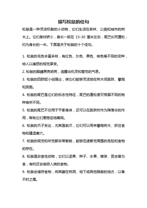 描写松鼠的佳句