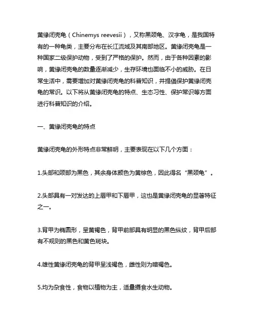 黄缘闭壳龟科普知识及保护常识