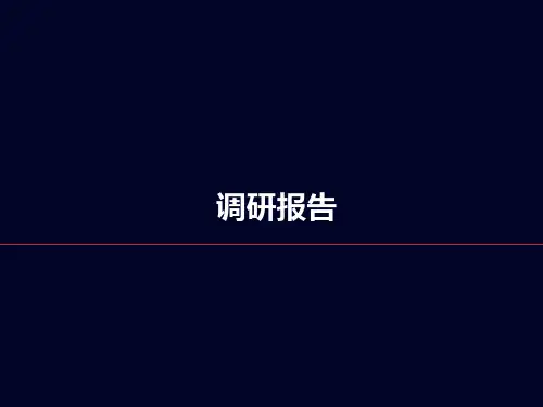 RIO鸡尾酒调研报告