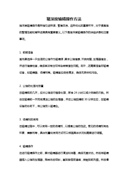 猪深度输精操作方法