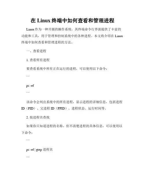 在Linux终端中如何查看和管理进程