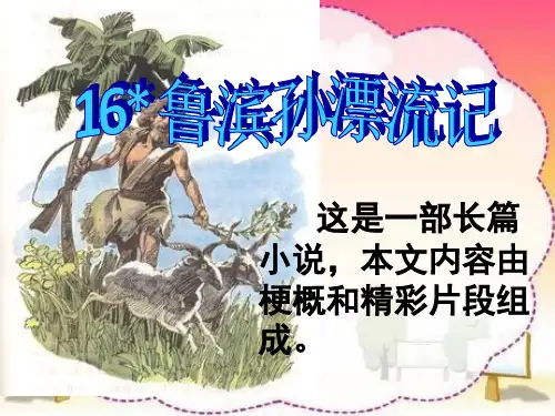 16鲁滨孙漂流记教导课件PPT