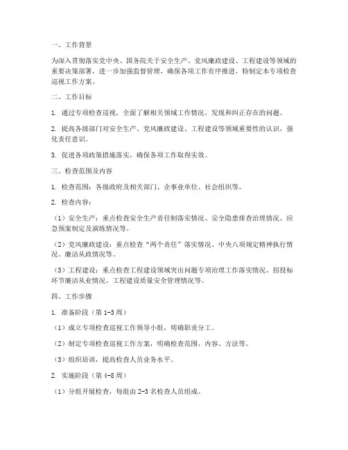 专项检查巡视工作方案
