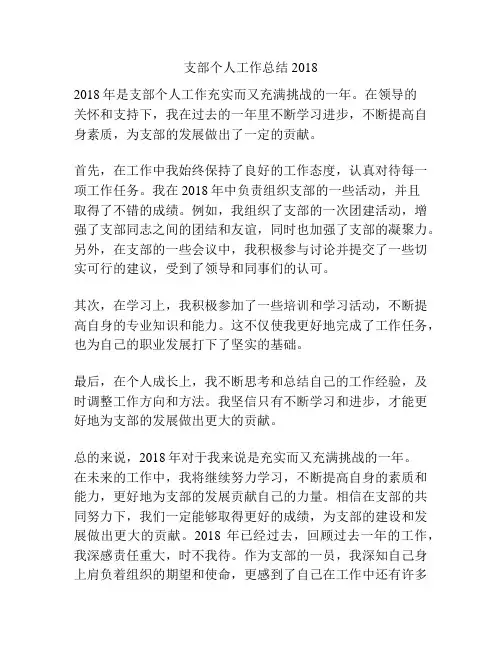 支部个人工作总结2018