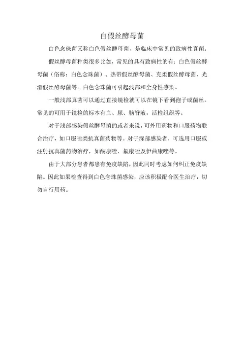 白假丝酵母菌