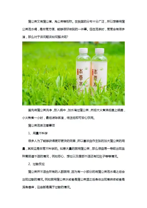 蒲公英泡茶有很多渣怎么办