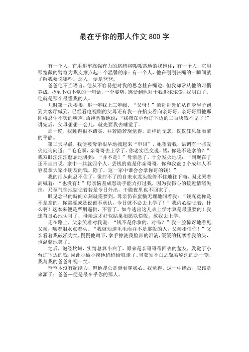 最在乎你的那人作文800字
