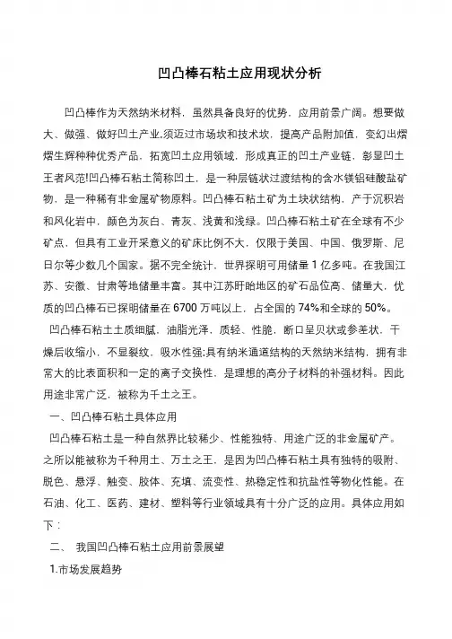 凹凸棒石粘土应用现状分析