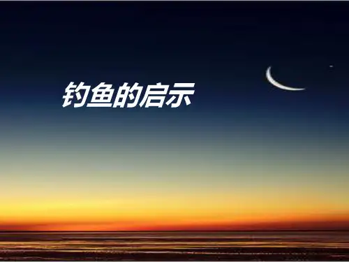 《钓鱼的启示》PPT课件