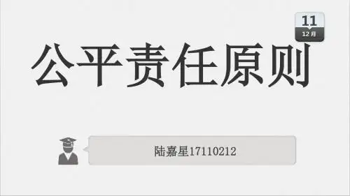 公平责任原则