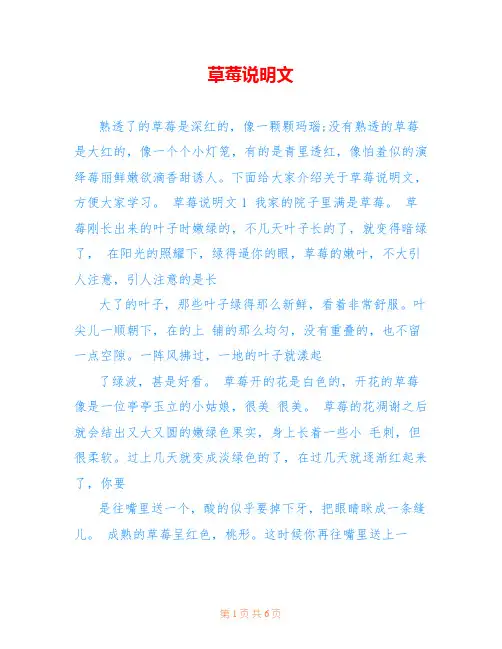 草莓说明文