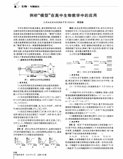 例析“模型”在高中生物教学中的应用