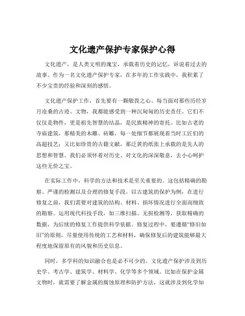文化遗产保护专家保护心得