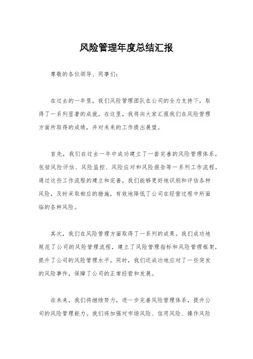 风险管理年度总结汇报