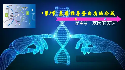 高一下学期生物人教版必修二 4.1 基因指导蛋白质的合成课件(40张PPT)