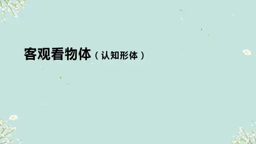 客观看物体 (认知形体)课件-2024-2025学年高中美术人教版 (2019) 选择性必修1 绘画