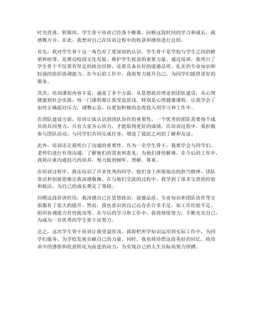 学生骨干培训总结感想