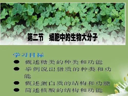 细胞中的生物大分子ppt3 苏教版精选教学PPT课件