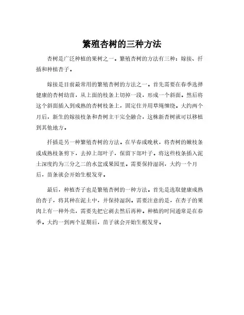 杏树繁殖方法