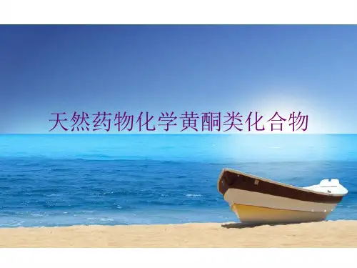 天然药物化学黄酮类化合物