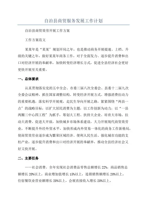 自治县商贸服务发展工作计划