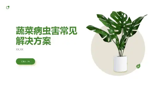 蔬菜病虫害常见解决方案