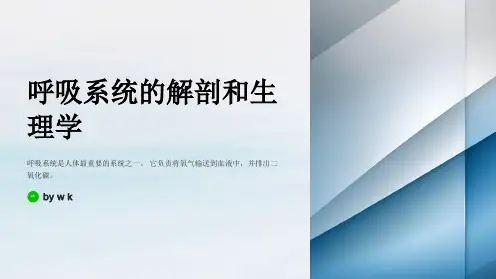 呼吸系统的解剖和生理学知识