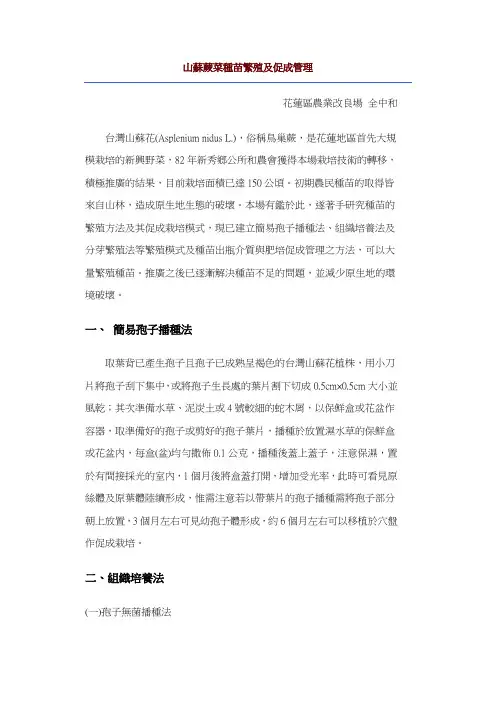 山苏蕨菜种苗繁殖及促成管理