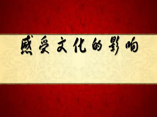 人教版高中政治《文化生活》2.1 感受文化影响 (共22张ppt)教育课件