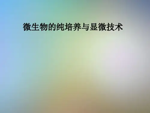 微生物的纯培养与显微技术