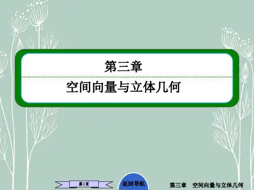 高二数学  3-2-33.2.3 空间角与距离的向量方法