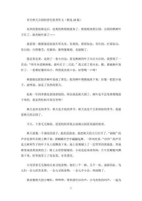 有关秋天公园的景色优秀作文(精选10篇)(最新)