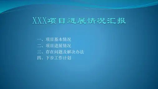 项目进展情况汇报ppt模板