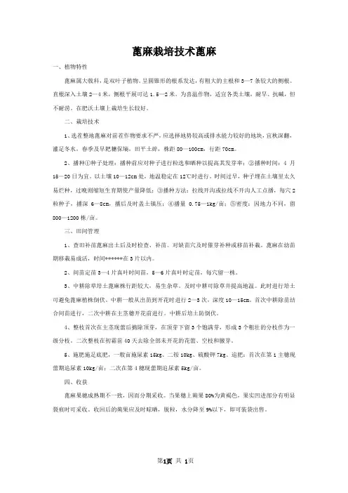 蓖麻栽培技术蓖麻