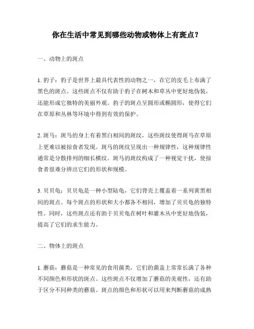 你在生活中常见到哪些动物或物体上有斑点？
