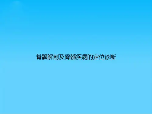 脊髓解剖及脊髓疾病的定位诊断【31页】