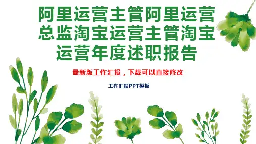 阿里运营主管阿里运营总监淘宝运营主管淘宝运营年度述职报告工作总结工作计划PPT模板下载