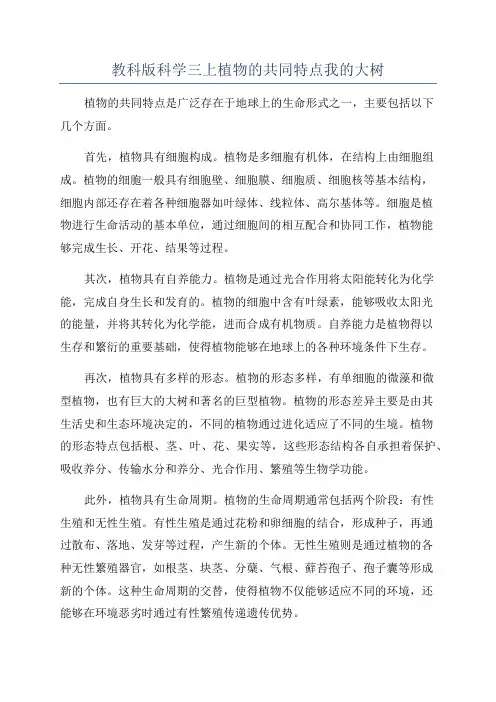 教科版科学三上植物的共同特点我的大树