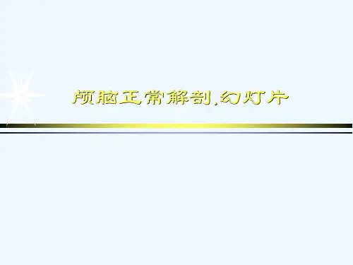 颅脑正常解剖.幻灯片