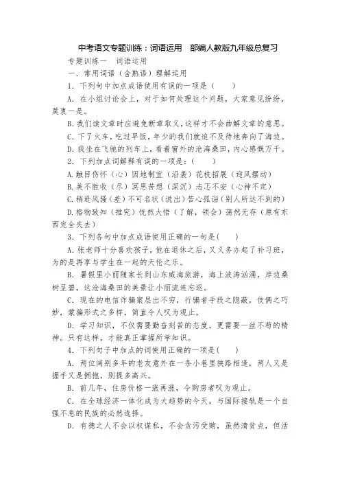 中考语文专题训练：词语运用  部编人教版九年级总复习