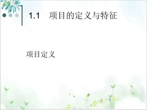 电子商务项目概述课件PPT