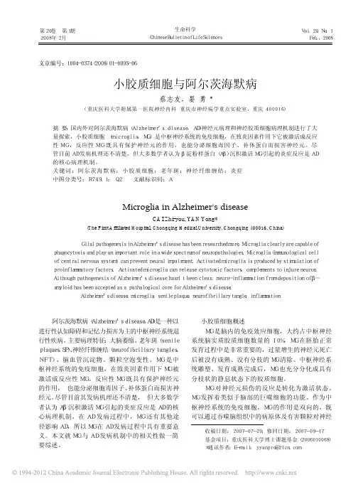小胶质细胞与阿尔茨海默病