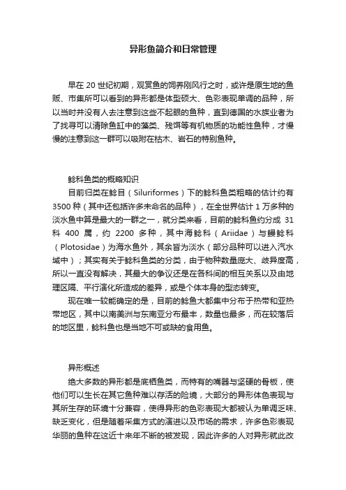 异形鱼简介和日常管理