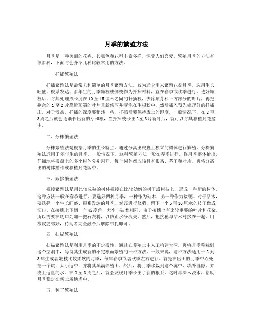 月季的繁殖方法