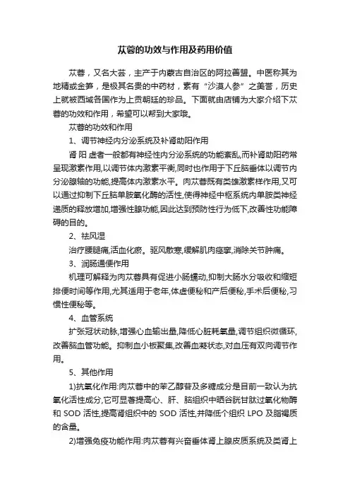 苁蓉的功效与作用及药用价值